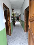 Oliva's House