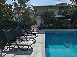 Banana Lodge