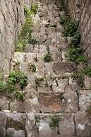 Step to Kotor Bay Old Town