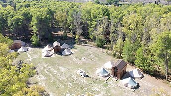 Poesis Park Glamping