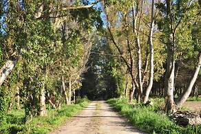 Poesis Park Glamping