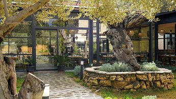 Garrya Romo Hotel