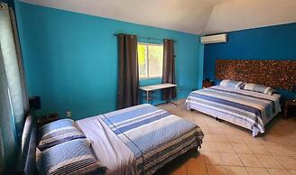 Coconut Lodge