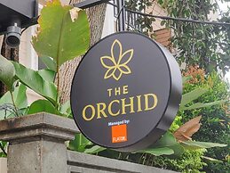 The Orchid by FLAT06