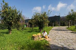 Tenuta Di Leva