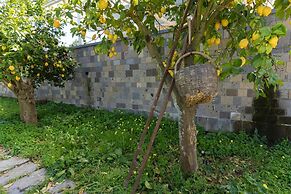 Tenuta Di Leva