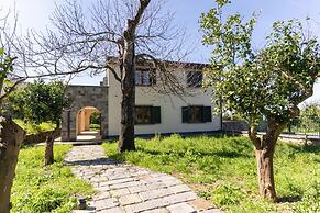 Tenuta Di Leva