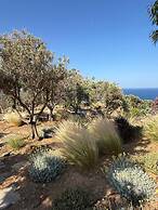 Kea Infinity View Villa