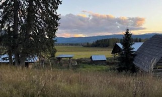 Nakiska Bear Ranch