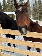 Nakiska Bear Ranch