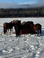 Nakiska Bear Ranch