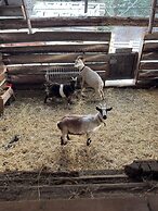 Nakiska Bear Ranch