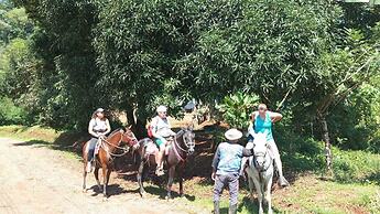 Ceiba Ganadito