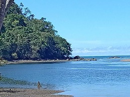 Ceiba Ganadito