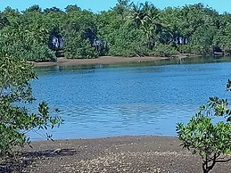 Ceiba Ganadito
