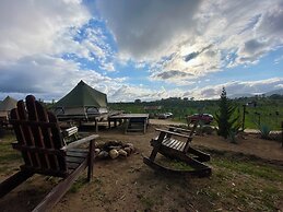 Cosmo Glamping