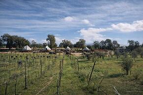 Cosmo Glamping