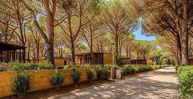 Hotiday Marina di Cecina