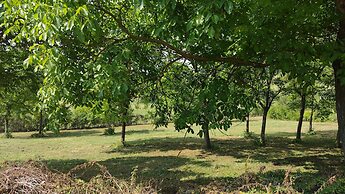 Villa With Pool Monferrato · Botto Living