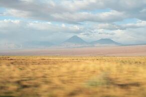 Fauna Hotel Atacama