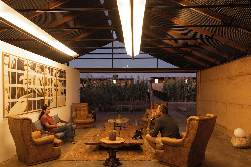 Fauna Hotel Atacama