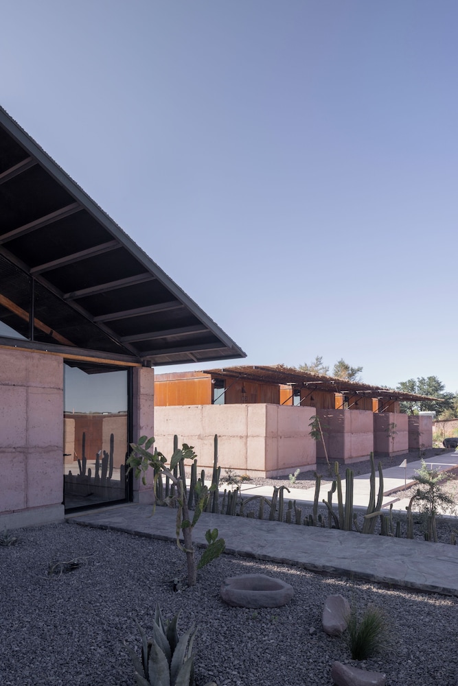 Fauna Hotel Atacama