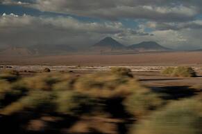 Fauna Hotel Atacama