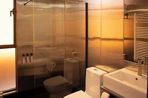 Fauna Hotel Atacama