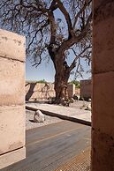 Fauna Hotel Atacama
