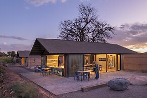 Fauna Hotel Atacama