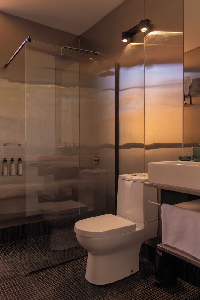 Fauna Hotel Atacama