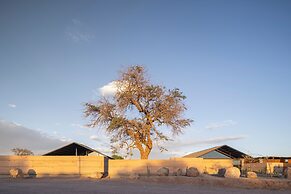 Fauna Hotel Atacama