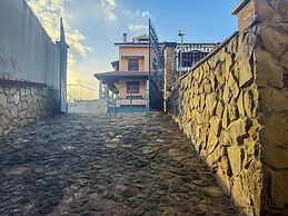 L'ulivo