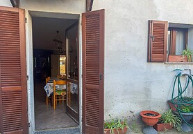 L'ulivo