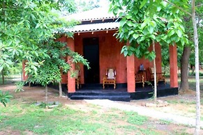 lavish eco jungle