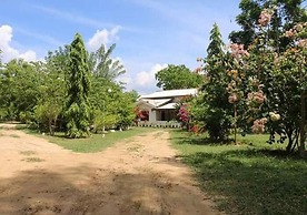 lavish eco jungle