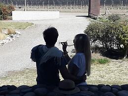 Tupungato Divino