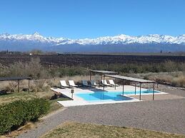 Tupungato Divino