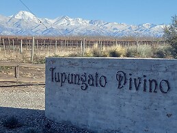 Tupungato Divino