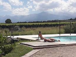 Tupungato Divino