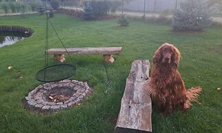 Holiday Home With Private Pond, Jacuzzi and Sauna