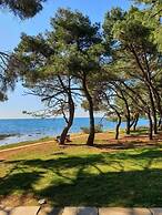 Family Bungalow Pineta