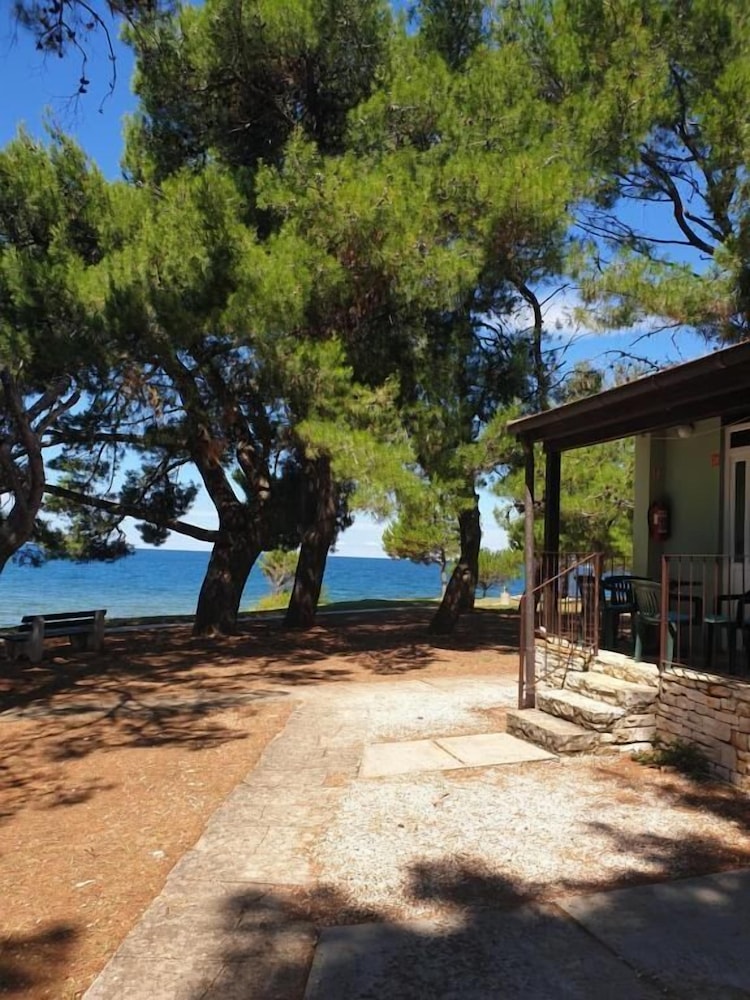Family Bungalow Pineta