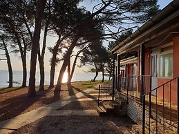 Family Bungalow Pineta