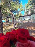 Family Bungalow Pineta