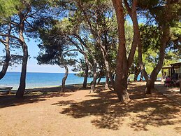 Family Bungalow Pineta