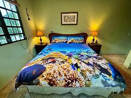 Vieques BioBay Bed and Breakfast