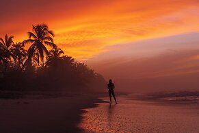 Bohemia Beach Tayrona