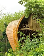 Cocoon Reserve