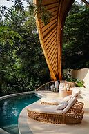 Cocoon Reserve